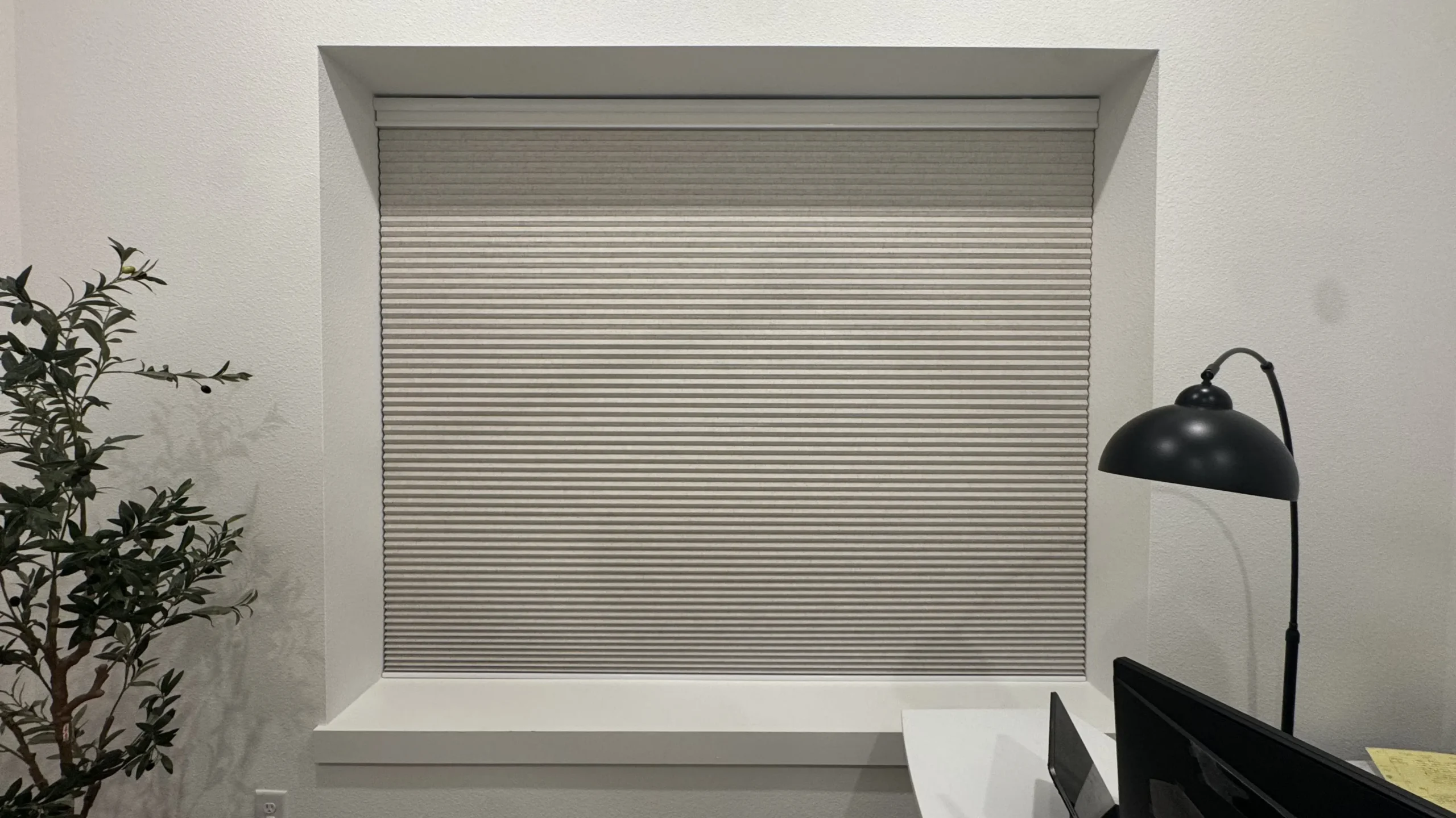 Cellular honeycomb shades insulating a window